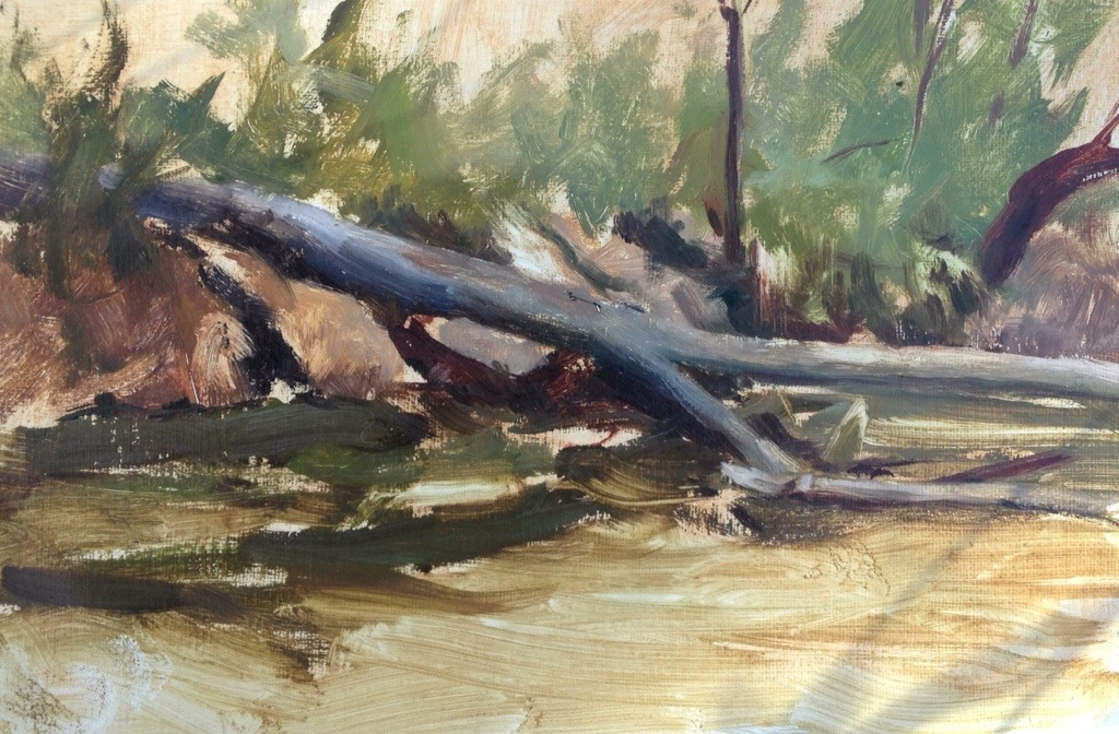 Fallen tree at Lullwater