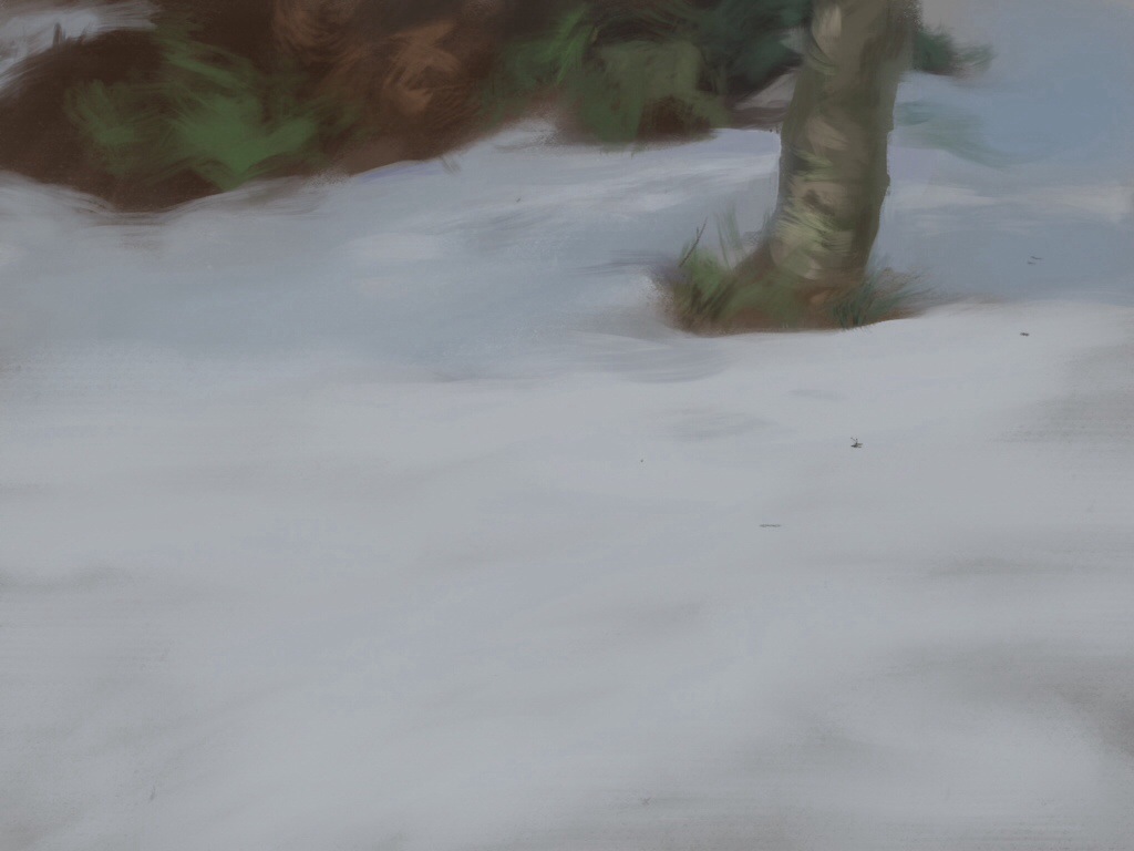 Snow in Iceland