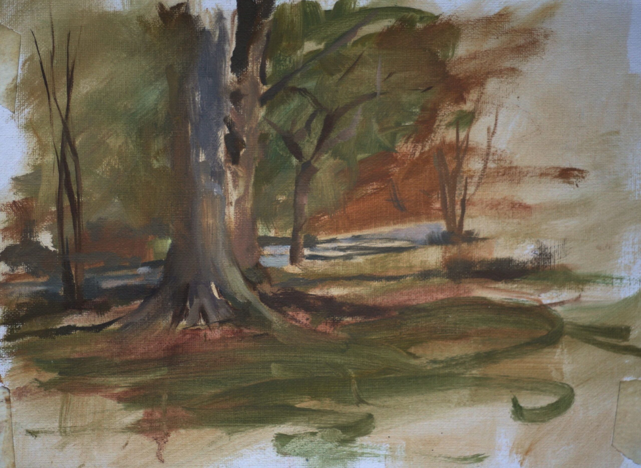 Trees in Neighbor’s Yard