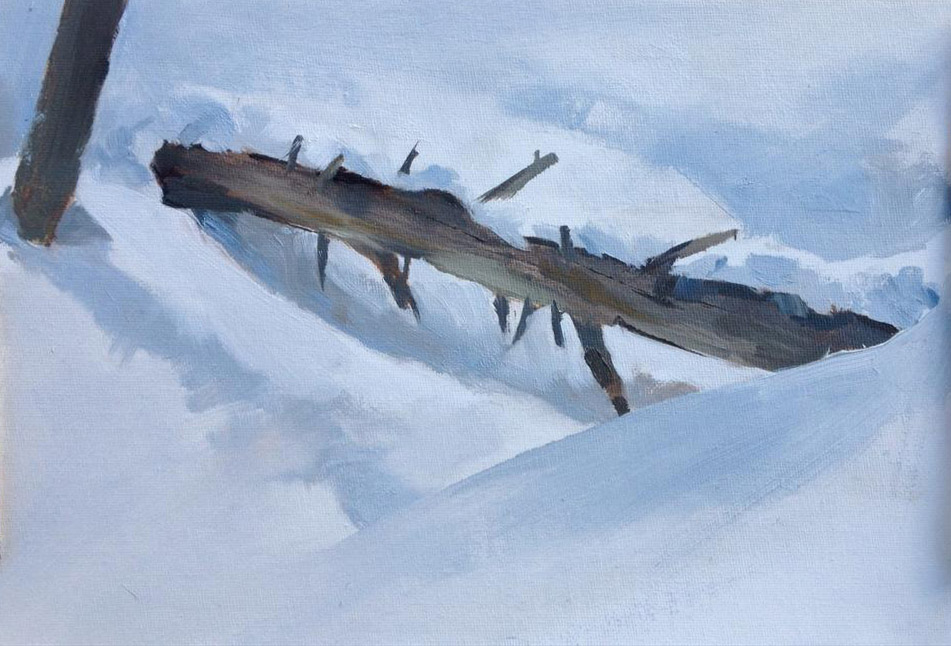 20150308-kitterytreeinsnow